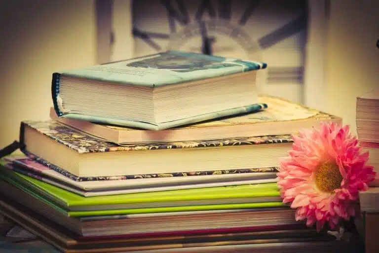 Liste de romans young adult