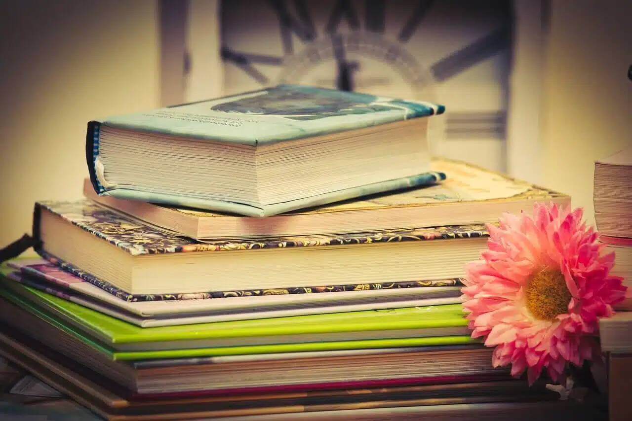 Liste de romans young adult