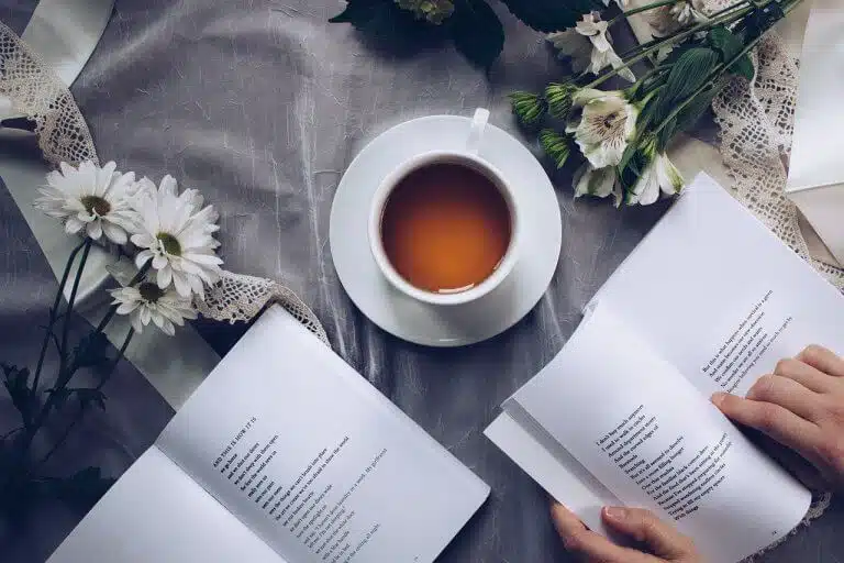 La quatrième de couverture d'un livre