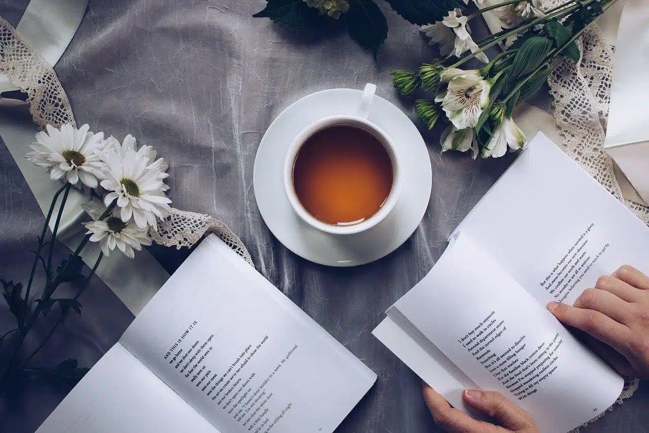 La quatrième de couverture d'un livre