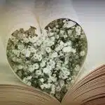 La poésie, comment écrire un poème ?